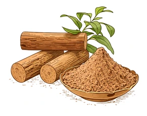 A botanical illustration showing Sandalwood (Chandan) logs and a bowl of fine powder with green leaves, representing a cooling and soothing choice among Ayurvedic Herbs for Acne.