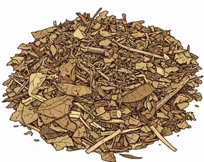 Detailed illustration of Dashamoola, a traditional Ayurvedic blend of ten dried medicinal roots, representing one of the most powerful natural remedies for irregular menstruation.