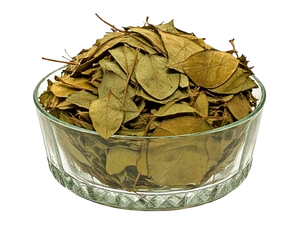 A glass bowl filled with dried Gudmar (Gymnema sylvestre) leaves, showcasing a premier Ayurvedic herb medicine for diabetes known as the "Sugar Destroyer."