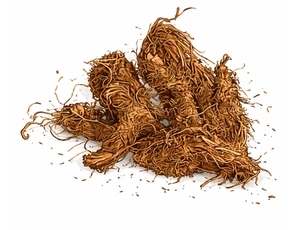 Detailed illustration of Jatamansi (Spikenard) roots, known for their hairy, spindle-shaped appearance and earthy brown color, representing one of the powerful herbs in our Ayurvedic treatment for menopause.