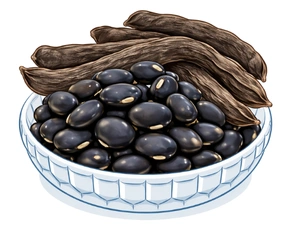 Illustration of a porcelain bowl filled with black Kapikacchu seeds and pods, representing potent Ayurvedic herbs for premature ejaculation.