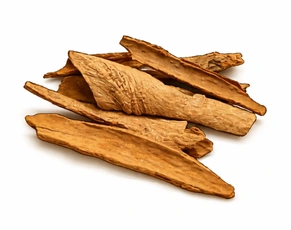 Detailed illustration of Lodhra (Symplocos racemosa) bark pieces, representing one of the most effective natural remedies for irregular menstruation.
