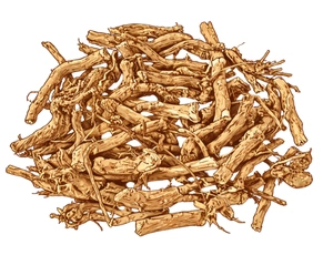 Professional studio shot of dried Punarnava roots, representing a vital Ayurvedic medicine for PCOD and natural remedies for PCOD.