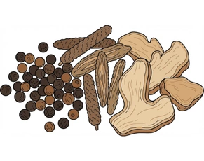 Detailed illustration of Trikatu, a powerful Ayurvedic blend of Black Pepper, Long Pepper, and Ginger, representing foundational Ayurvedic medicines for thyroid and powerful herbs to restore balance.