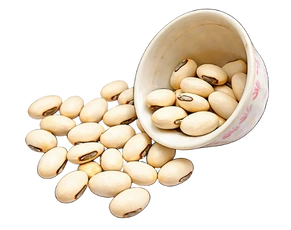 Illustration of a porcelain bowl overflowing with Kaunch Beej seeds, representing powerful Ayurvedic herbs and the best natural ED medication.