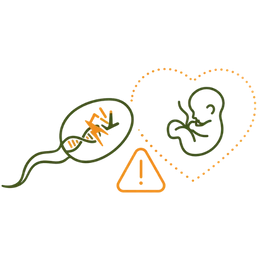 Line art illustration of a sperm cell with damaged DNA next to a fetus symbol within a heart-shaped border, representing the genetic risk of ignoring low sperm count.