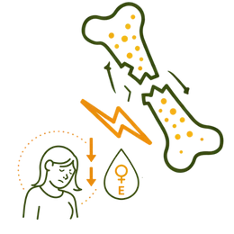Line art illustration of a fractured bone with porous patterns, a person in distress, and a symbol showing decreased estrogen levels, representing the risk of Osteoporosis as a complication of untreated irregular periods.