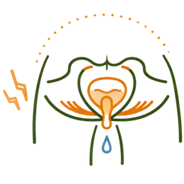 Line art illustration of a pelvic region showing a weakened bladder with involuntary leakage and lightning bolts representing irritation, illustrating urinary incontinence as a serious complication that highlights why early Ayurvedic treatment for menopause matters.