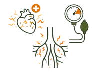 Illustration showing a heart under stress a blood pressure monitor with a high reading and constricted blood vessels representing hypertension causes.