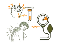 Graphic illustrating the link between brain activity elevated cortisol levels, muscle tension, and high blood pressure readings.