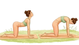 Professional illustration of a person practicing Cat-Cow Pose (Marjaryasana-Bitilasana) to improve spinal flexibility and pelvic circulation, an essential movement in Yoga for Low Libido.