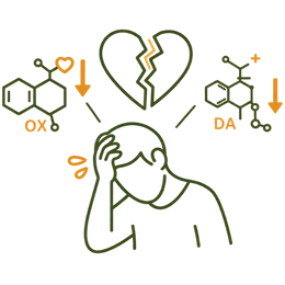 Line art illustration of a person in distress with a broken heart symbol and chemical diagrams for Oxytocin and Dopamine with downward arrows, representing the depression risk of ignoring low libido.