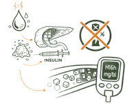 A medical infographic illustrating the Physical Causes (Kapha Blockage) Causes of Diabetes, showing the relationship between a sluggish pancreas, insulin resistance, and elevated blood sugar levels.