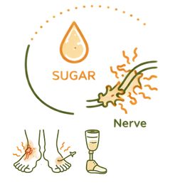 A medical illustration showing nerve damage caused by high blood sugar, featuring icons for diabetic foot ulcers and amputation, representing the Diabetic Neuropathy Risks & Complications: The Silent Damage of High Sugar.