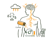 Detailed medical illustration explaining stress and anxiety as psychological root causes of erectile dysfunction in men.