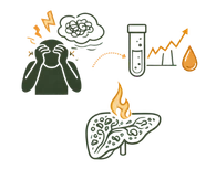 A conceptual illustration showing the psychological causes of fatty liver disease, featuring the link between mental stress and liver congestion.