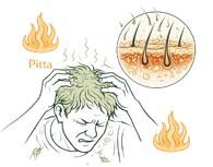 Excess Pitta dosha and scalp inflammation causing hair thinning and hair fall.