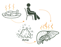 A medical infographic illustrating the Lifestyle Causes of High Cholesterol, showing how a diet of fried foods and a sedentary lifestyle lead to the accumulation of Ama (toxins) and fatty liver deposits.