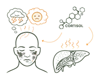 A medical infographic illustrating the Psychological Causes of High Cholesterol, showing the link between mental stress, cortisol production, and impaired liver metabolism.