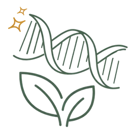 Line art illustration of a double helix DNA strand and healthy leaves with stars, representing the improves DNA integrity benefits of Ayurvedic treatment for low sperm count.