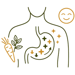 A functional diagram showing a healthy stomach with balanced enzymes and downward arrows, illustrating the Key Benefits of Ayurvedic Treatment for Acidity for improved metabolic fire and digestion.