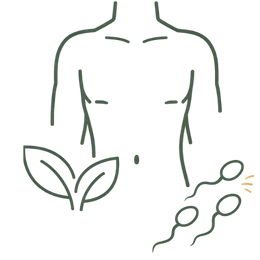Line art illustration of a human torso with a flower in the center and surrounding leaf and lotus symbols, representing the holistic health benefits of Ayurvedic treatment for low sperm count.