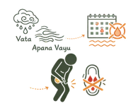 Line art illustration of a rain cloud representing Vata dosha, flowing wind lines for Apana Vayu, and a calendar with missed dates, representing the physical causes of irregular periods through Ayurvedic principles.