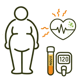 Link between chronic skin inflammation and metabolic syndrome, obesity, and heart health.