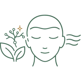 Line art illustration of a human head with a plant symbol and wave patterns, representing the natural desensitization key benefits of Ayurvedic treatment for premature ejaculation.