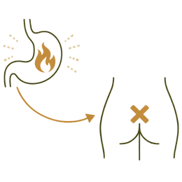 An icon-style illustration showing a healthy stomach with balanced digestive fire and a cross over the rectal area, highlighting the No Recurrence Benefits of Ayurvedic Treatment for Piles & Fissure.