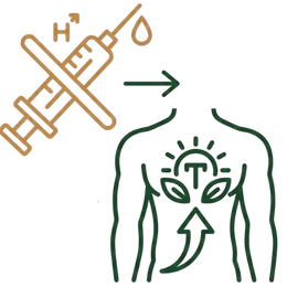 Line art illustration of a human torso with a natural vitality symbol and a crossed-out syringe, representing the non-hormonal key benefits of Ayurvedic treatment for ED.