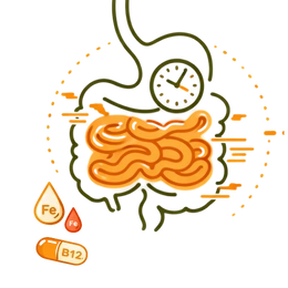 A medical infographic illustrating Nutrient Malabsorption Risk Factors for Constipation, showing a human digestive system with icons for Iron (Fe) and Vitamin B12 to highlight deficiencies caused by sluggish bowel movements.