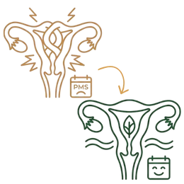 Line art illustration comparing a uterus experiencing sharp pain and PMS distress to a healthy uterus with a nourishing leaf symbol and a happy cycle calendar, representing effective pain relief as one of the key benefits of Ayurvedic treatment for irregular periods.