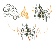 A medical infographic illustrating the Dietary Habits Causes of Piles, showing the impact of fire, wind, and cloud icons representing Pitta and Vata imbalances on the anal canal.