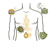 Line art illustration of a human torso with symbols for junk food, poor sleep, and a protective shield, representing Ayurvedic lifestyle causes of premature ejaculation.