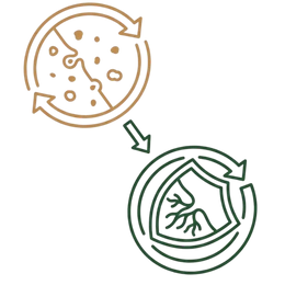 Prevents Recurrence Ayurvedic Acne Treatment