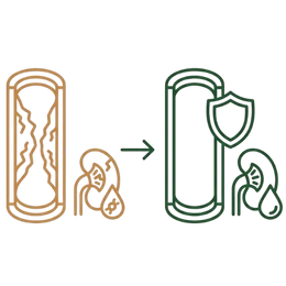 A medical infographic illustrating the Protects Arteries Benefits of Ayurvedic Treatment for High Cholesterol, showing the transition from damaged, plaque-filled vessel walls to a shielded and healthy arterial structure.