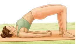 Professional illustration of a person practicing Setu Bandhasana (Bridge Pose) as a foundational movement in Yoga & Pranayama: Natural Ways to Boost Fertility.