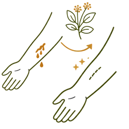 An icon-style illustration showing an arm with a bleeding wound being healed by herbal intervention, representing the Stops Bleeding Benefits of Ayurvedic Treatment for Piles & Fissure.