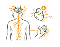 Illustration showing the physical effects of stress including a highly sensitive nervous system heart palpitations and hand tremors.