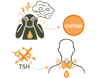 Line art illustration depicting a person eating fast food while sitting in a sedentary posture, with a diagram showing toxin accumulation (Ama) and its negative impact on metabolic DNA and cellular communication, representing the lifestyle causes of thyroid problems.