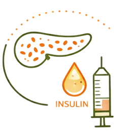 Line art illustration of a pancreas with spotted patterns, a drop of insulin, and a medical syringe, representing the risk of Type 2 Diabetes as a complication of PCOS.