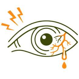 Icon of an eye showing damaged blood vessels and leakage representing the severe risk of vision loss due to chronic high blood pressure.