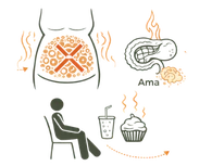 A medical infographic illustrating the Lifestyle Causes of Weight Gain, showing the impact of a sedentary routine, sugary foods, and the accumulation of Ama (toxins) on the body.