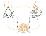 A medical infographic illustrating the Physical Causes of Weight Gain, showing the impact of slow metabolism, hormonal imbalances, and poor digestive fire (Agni) on the body.