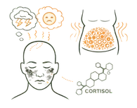A medical infographic illustrating the Psychological Causes of Weight Gain, showing the relationship between mental stress, cortisol levels, and the accumulation of abdominal fat.