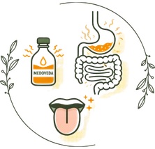 Healthy spices and food promoting Phase 1: Deepana & Pachana (Days 1–30) for your personalized weight loss plan.