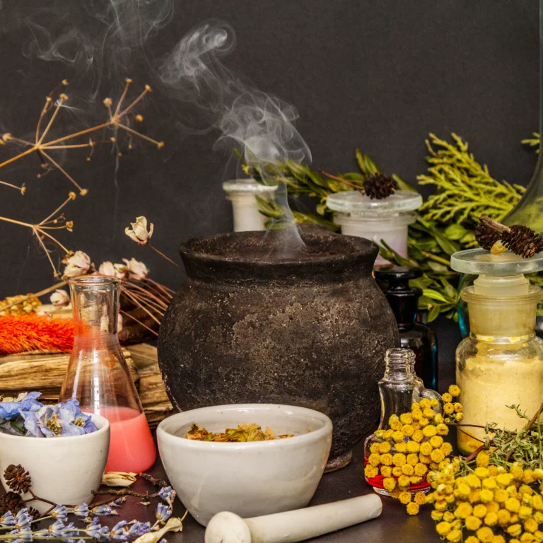 Ayurvedic Health Programs ,90-Day Transformation Courses AshwaKaya